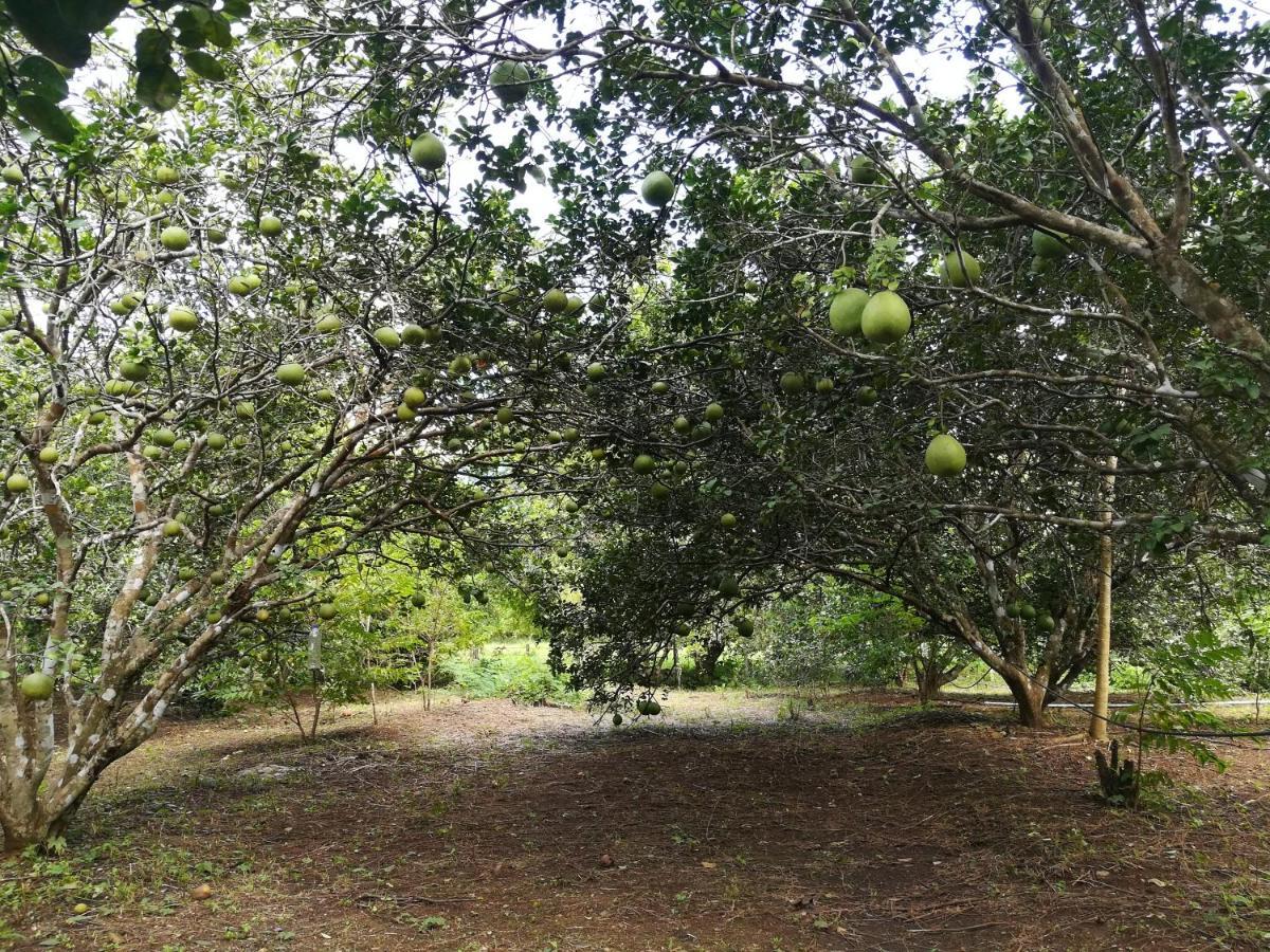 Villa Star View Garden Ban Huai Maenam Noi Exterior foto